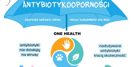 Powiększ grafikę: europejski-dzien-wiedzy-o-antybiotykach-650867.jpg