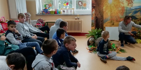 Powiększ grafikę: Mrówki
