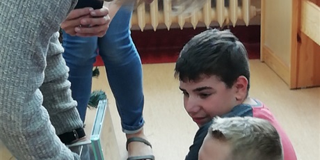Powiększ grafikę: Mrówki