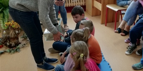 Powiększ grafikę: Mrówki