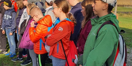 Powiększ grafikę: Świat Labiryntów 2019 Bliziny
