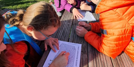 Powiększ grafikę: Świat Labiryntów 2019 Bliziny