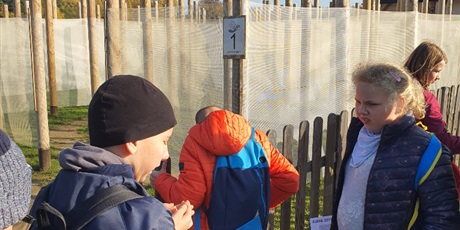 Powiększ grafikę: Świat Labiryntów 2019 Bliziny