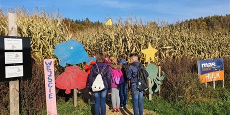 Powiększ grafikę: Świat Labiryntów 2019 Bliziny