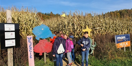 Powiększ grafikę: Świat Labiryntów 2019 Bliziny
