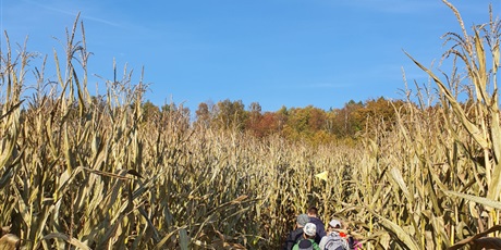 Powiększ grafikę: Świat Labiryntów 2019 Bliziny