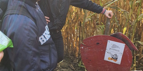 Powiększ grafikę: Świat Labiryntów 2019 Bliziny