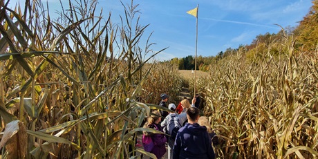 Powiększ grafikę: Świat Labiryntów 2019 Bliziny