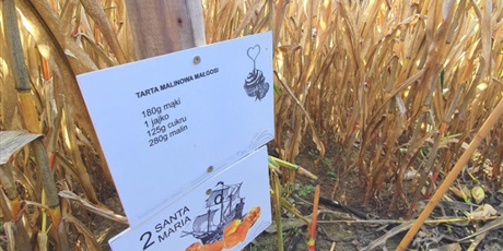 Powiększ grafikę: Świat Labiryntów 2019 Bliziny