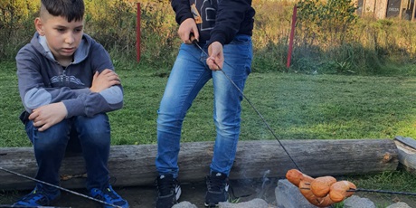 Powiększ grafikę: Świat Labiryntów 2019 Bliziny