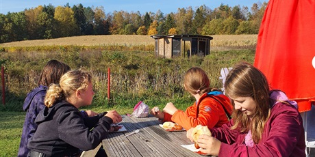 Powiększ grafikę: Świat Labiryntów 2019 Bliziny